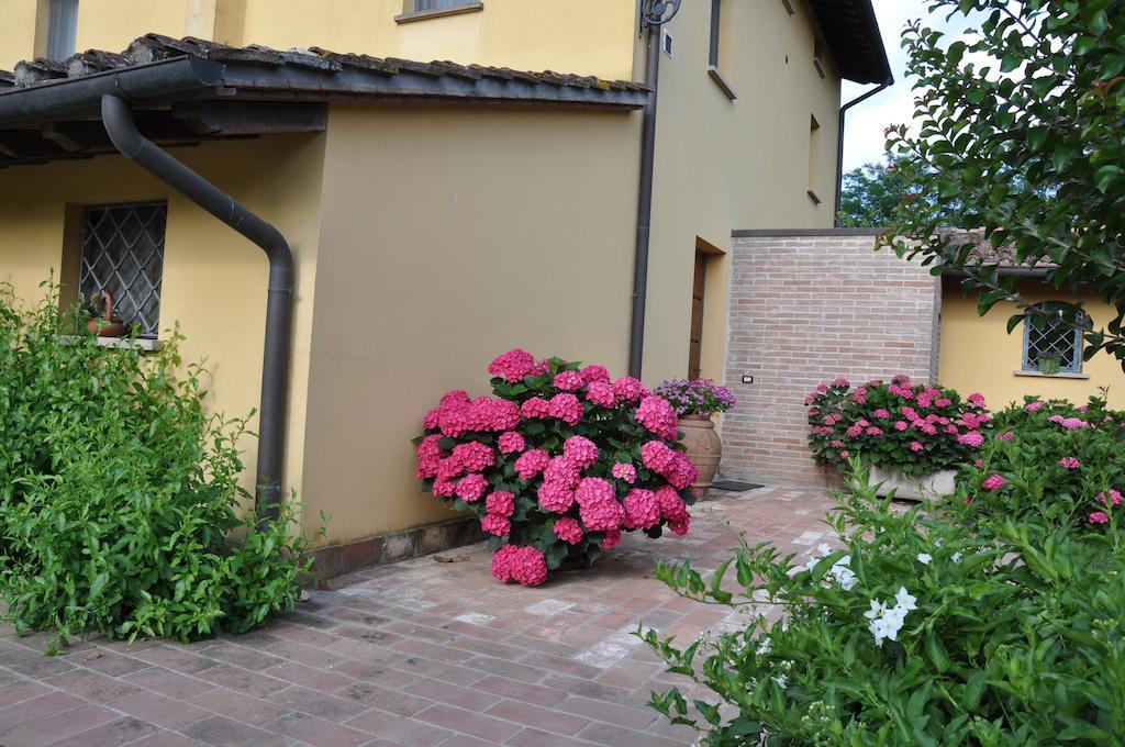 B&B Il Casolare Di Bonci Санта-Мария-а-Монте Экстерьер фото